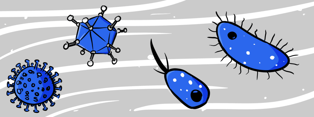 Traitement Amygdalite Bactérie Virus