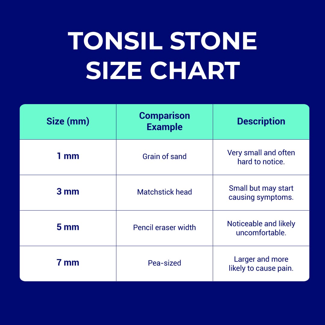 ORAVIX-Tonsil-Stone-Size-Chart-EN-Final tonsil stone size chart, from 1 to 7 mm.