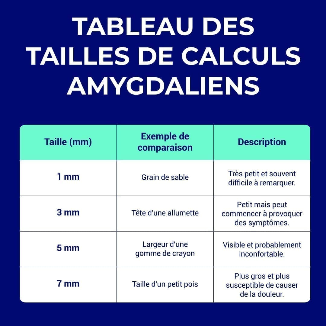 ORAVIX-Tonsil-Stone-Chart-FR-Final tableau des tailles de caséum